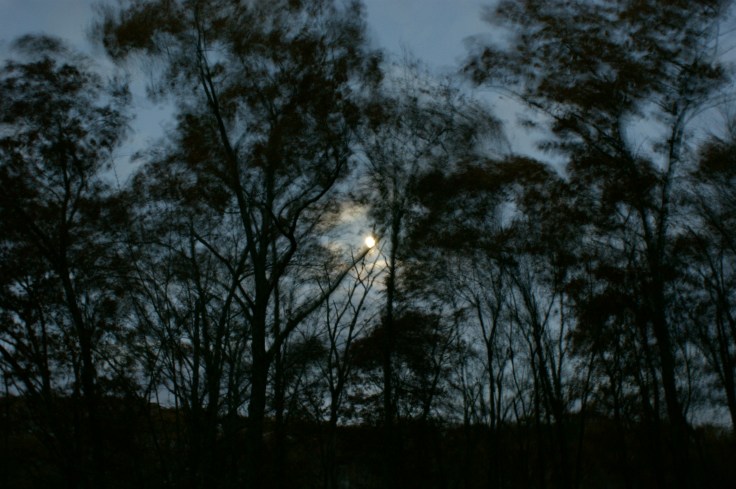 Fall 2009 - Halloween blowing leaves and moon