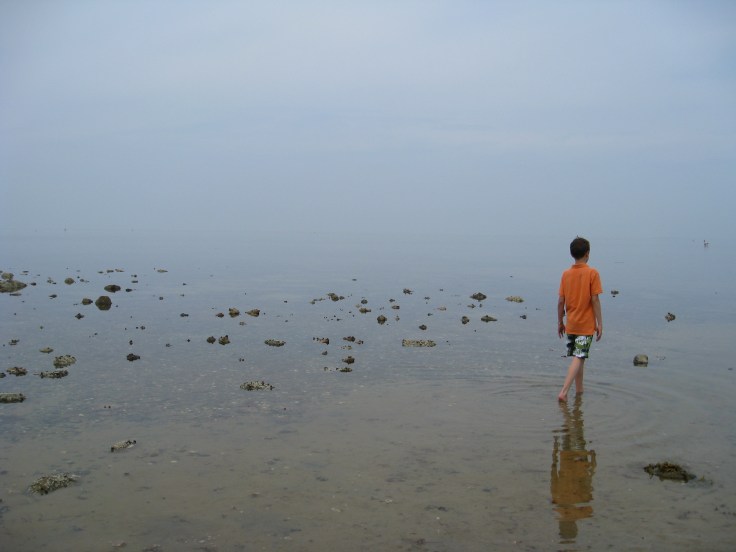 Summer 2008 home & Cape 087