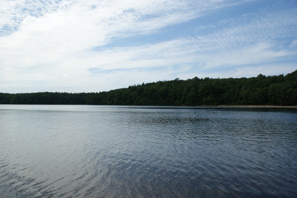 And you can look at this...